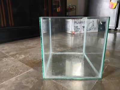 aquarium urjent sale
