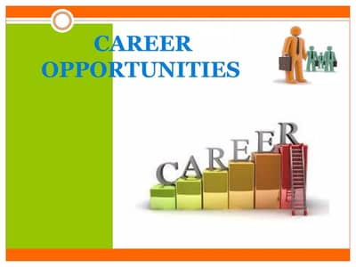 Career Opportunity Office Based Work