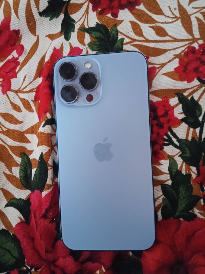 Apple iPhone 13 Pro Max 1