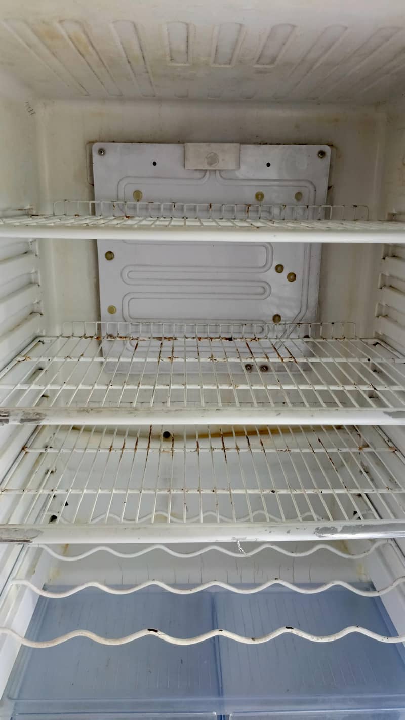 Full Size Fridge 1