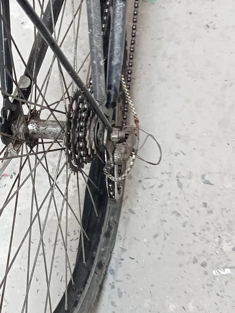 BMX cycle 1