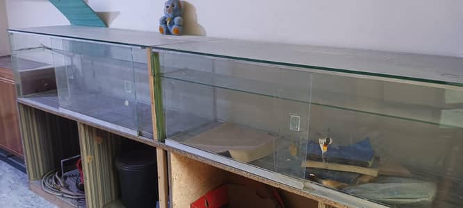 Mobile Accessories Counter