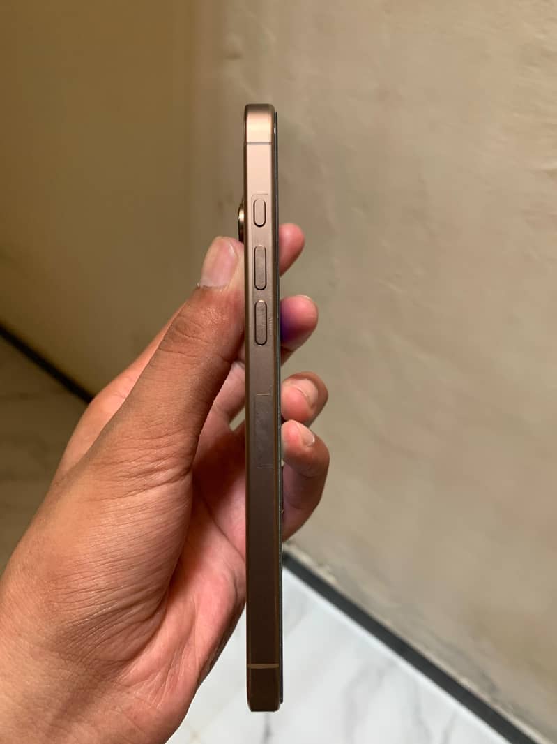 iPhone 16 Pro Max 1