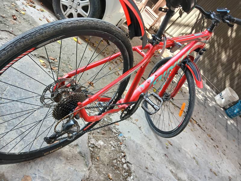 bicycle 1