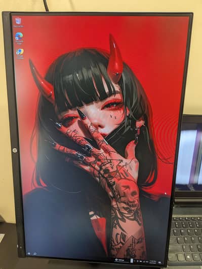 HP Z24n 24" IPS Monitor | 1920x1200 WUXGA
