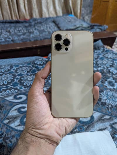 Apple iPhone 12 Pro Max