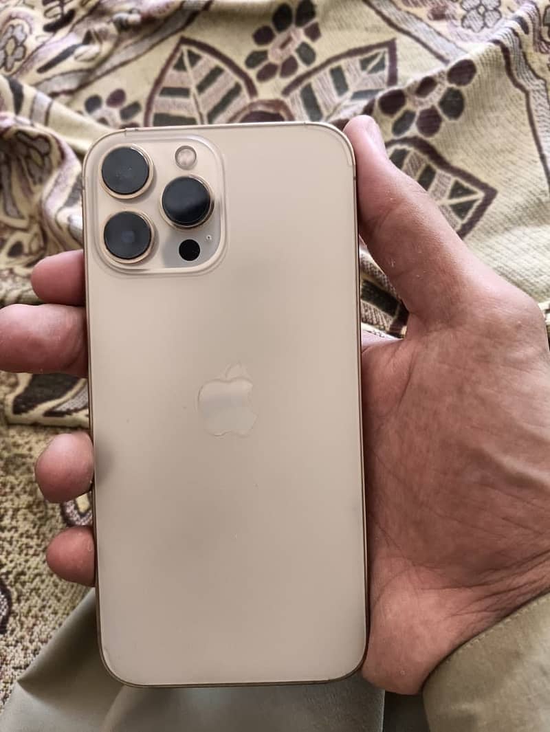 Apple iPhone 13 Pro Max 1