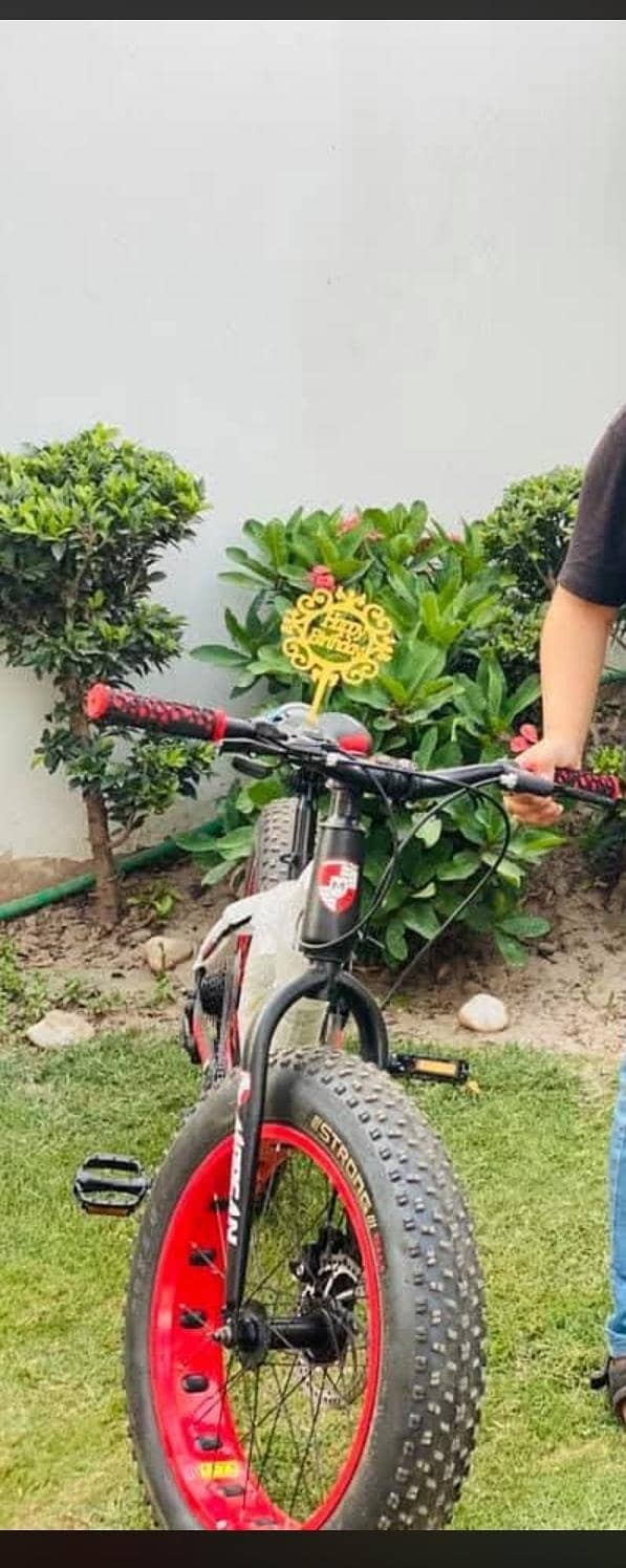 bicycle 1