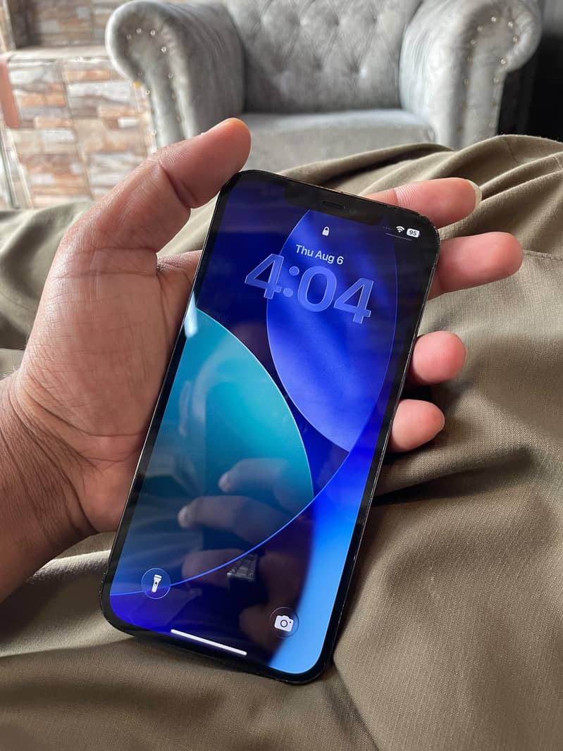 Apple iPhone 12 Pro Max 2