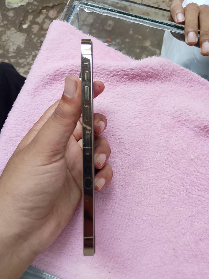 Apple iPhone 13 Pro Max 2