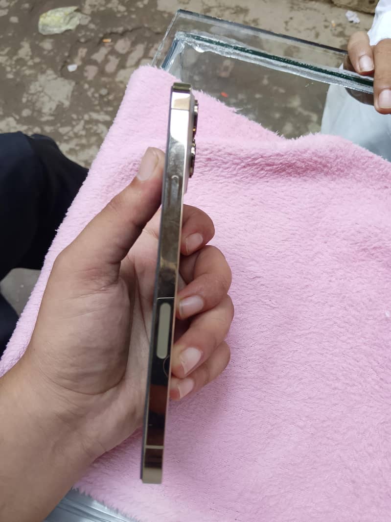 Apple iPhone 13 Pro Max 3
