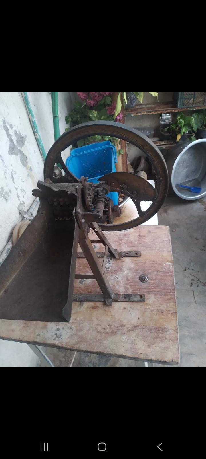 sagh cutter 1