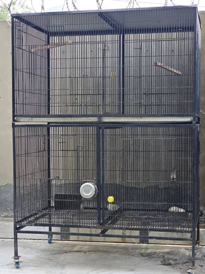 Double Postion Cages for big birds | Alexandrine | African Grey