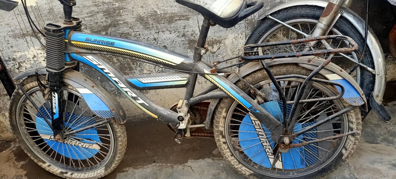Bay cycle 1