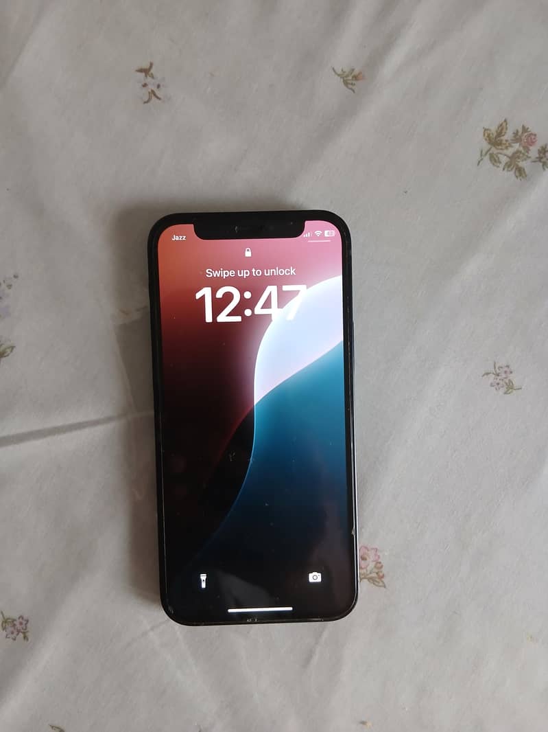 Apple iPhone 12 mini 1