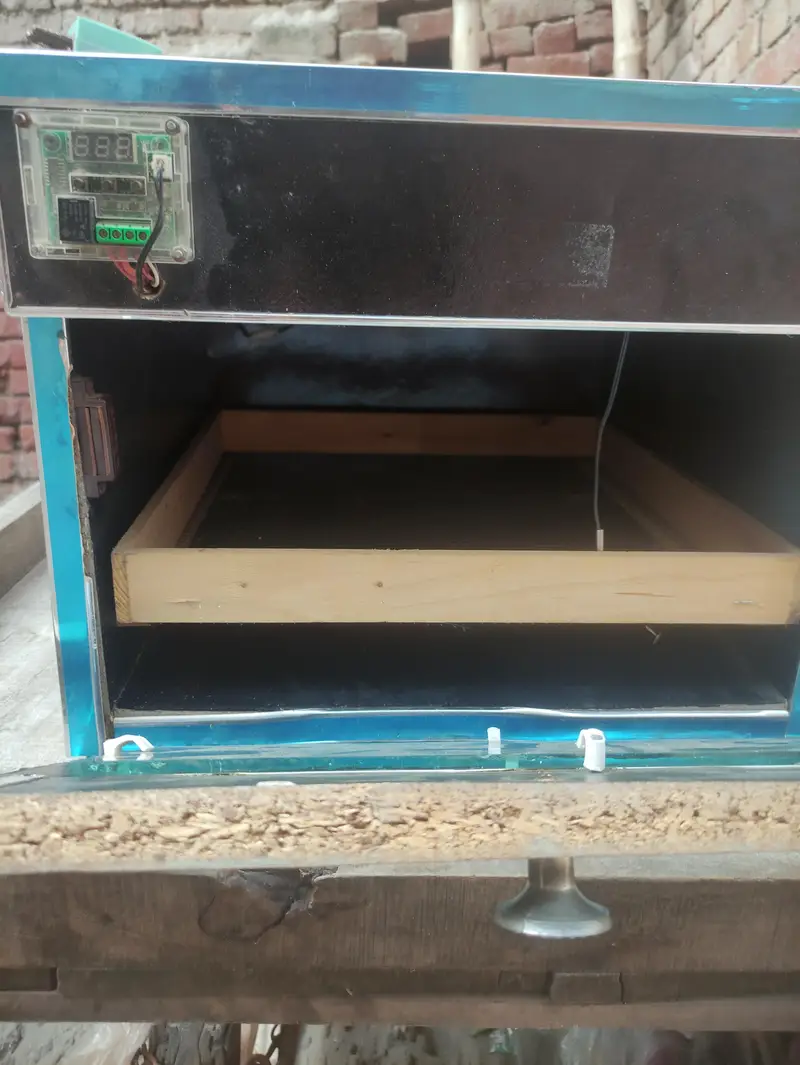 Manual Incubator — photo 2