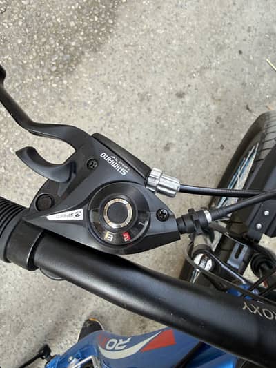 Roxy double shoks bicycle