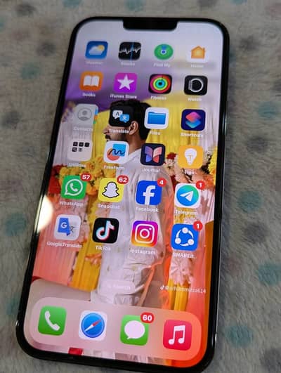 Apple iPhone 13 Pro Max