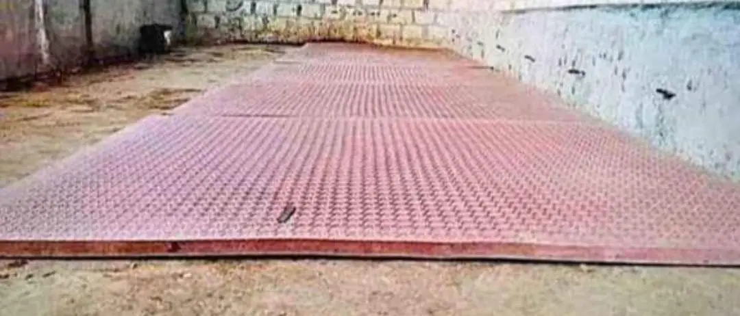 animal sitting mats — photo 4