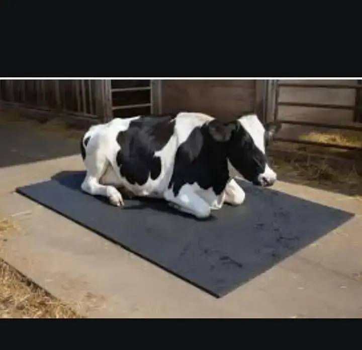 animal sitting mats — photo 12
