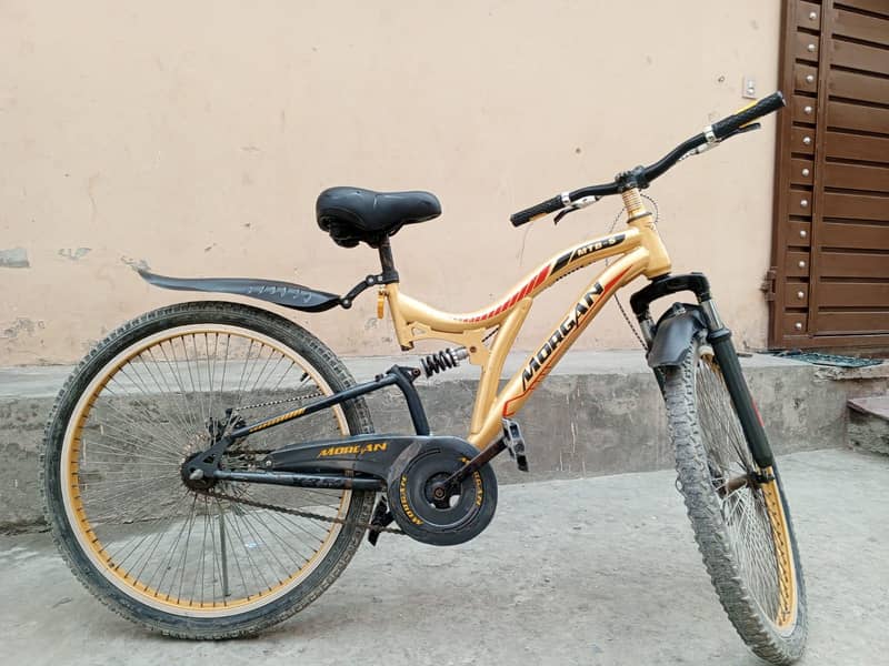 beutifull cycle 1
