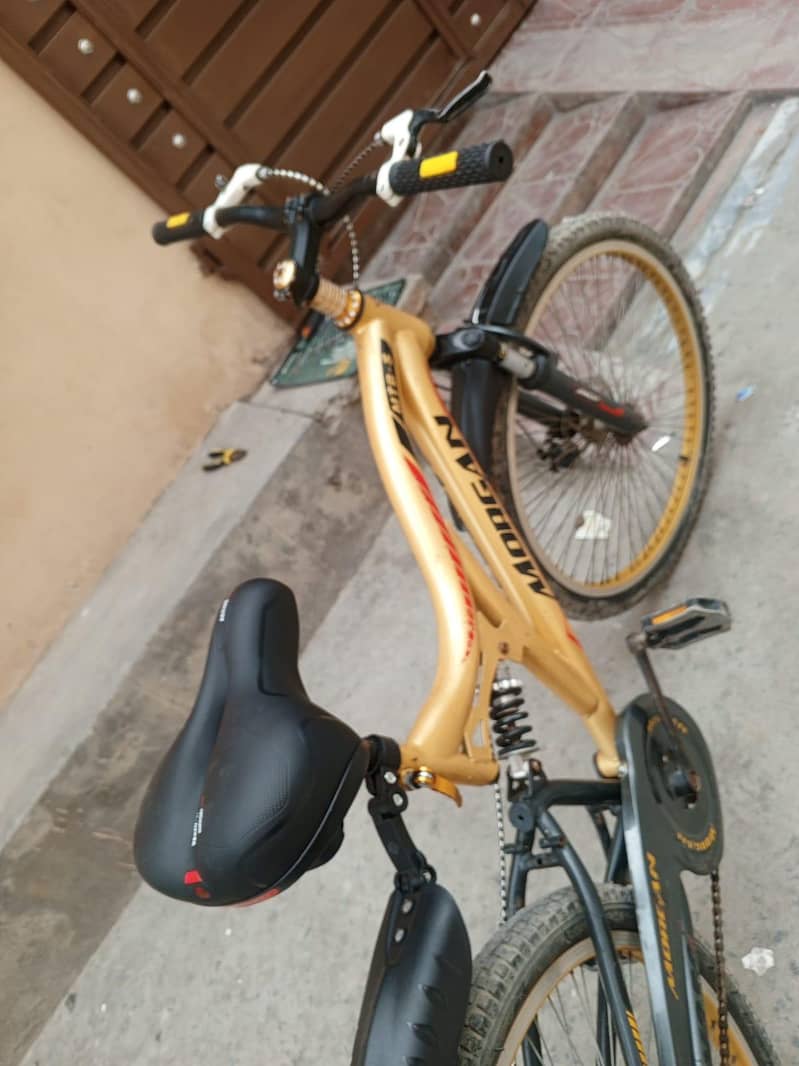 beutifull cycle 12