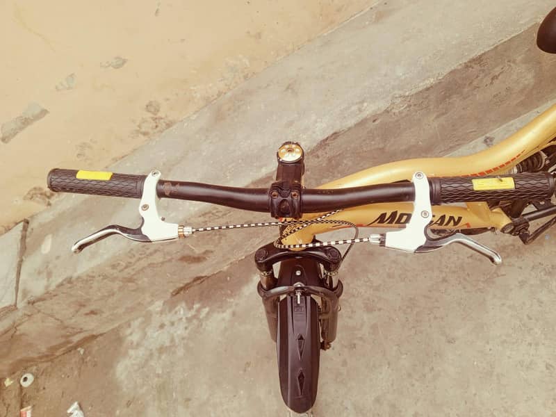 beutifull cycle 14