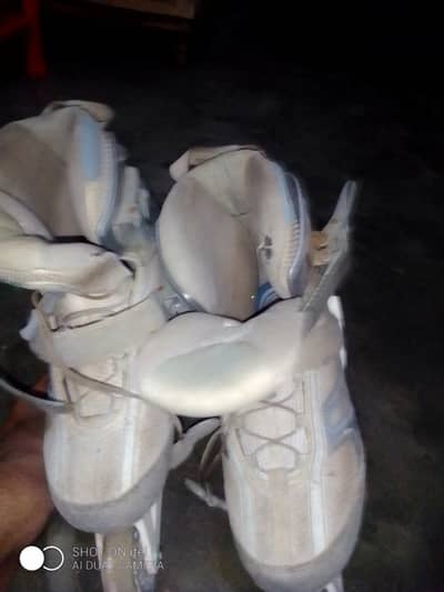sport shoes