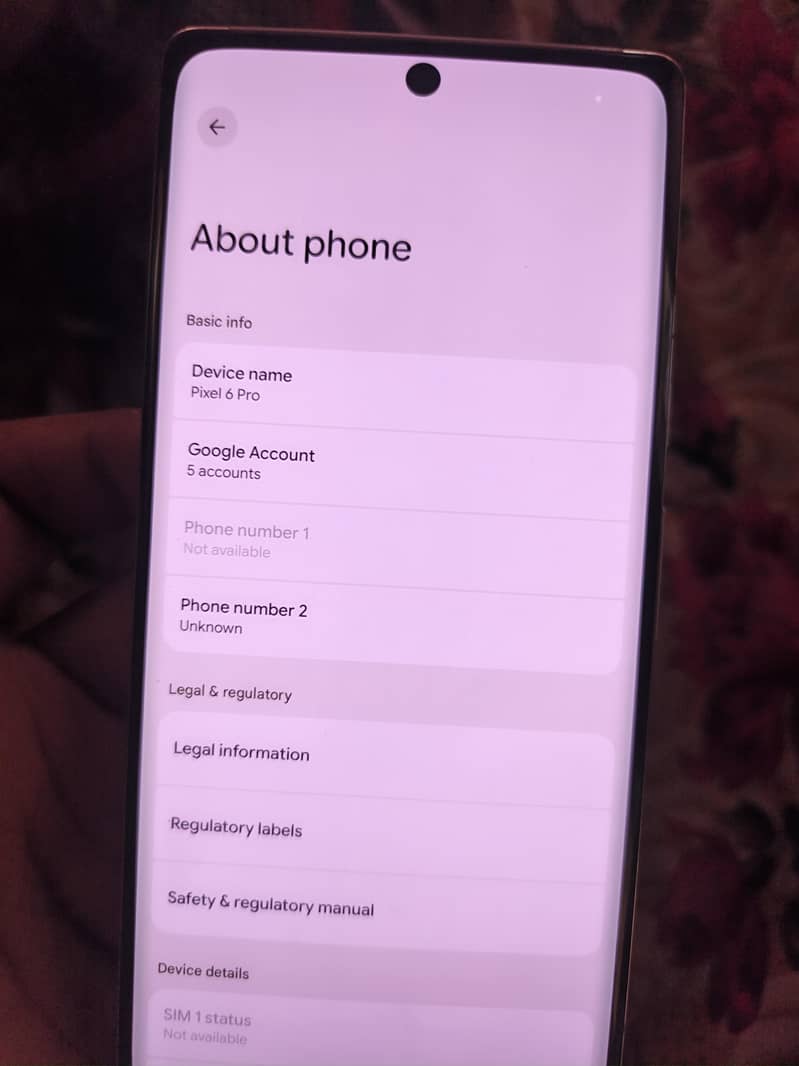 Google Pixel 6 Pro 6