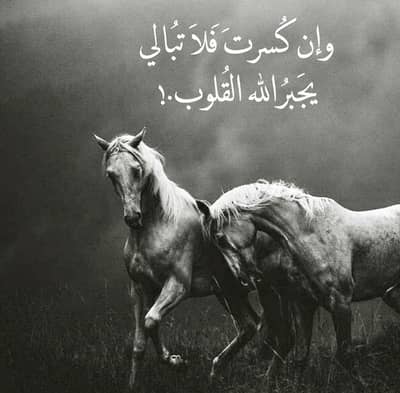 Khushal 