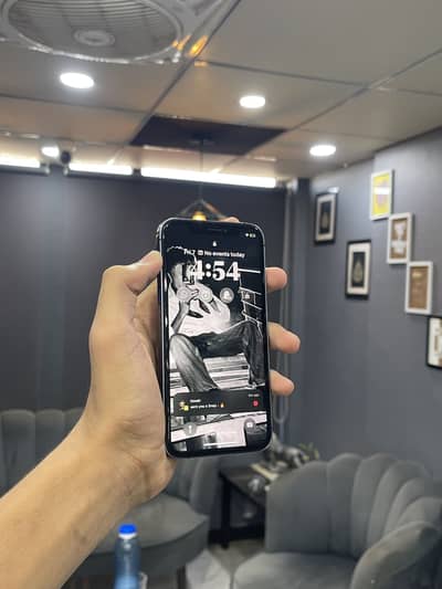 Apple iPhone X