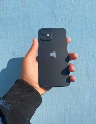 Apple iPhone 12