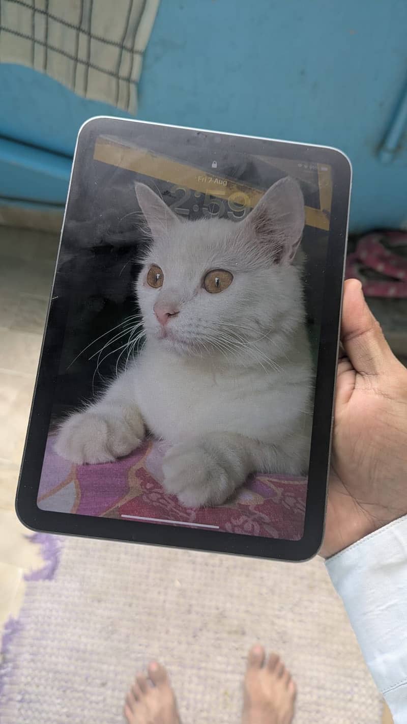 IPad mini 6 5