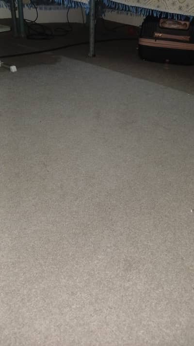 Room Carpet