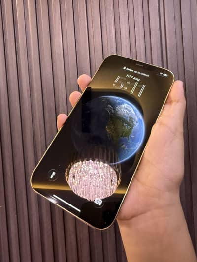 Best iPhone 12 Pro Max 256GB PTA Approved | 10/10
