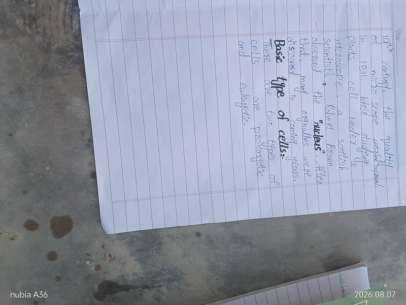assignment 2
