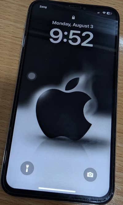 Apple iPhone X