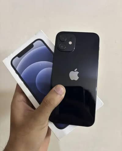 Iphone 12 WITH BOX 64 GB
