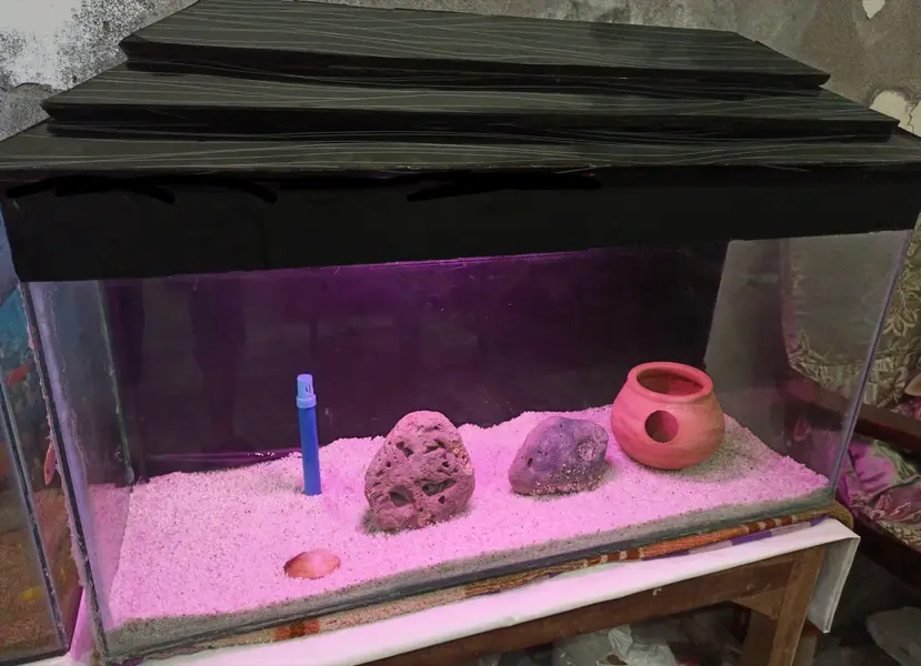 Fish aquarium — photo 2