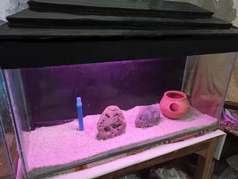 Fish aquarium — photo 4