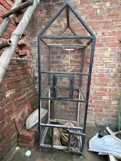 for sale