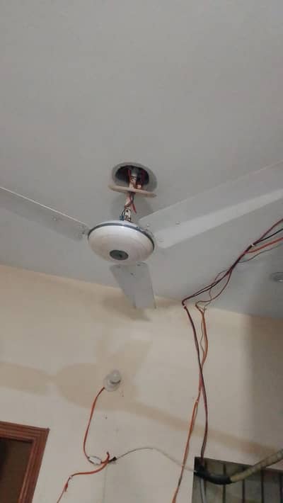 Ceiling Fans