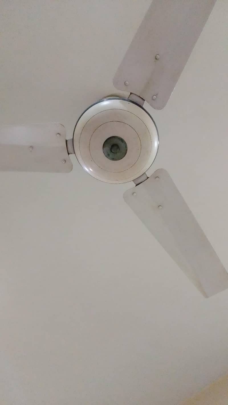 Ceiling Fans 1
