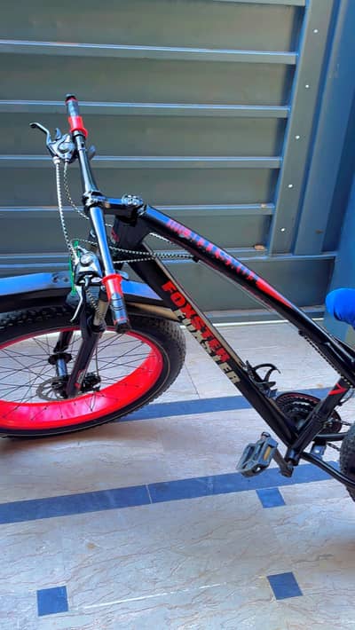 Fat bike