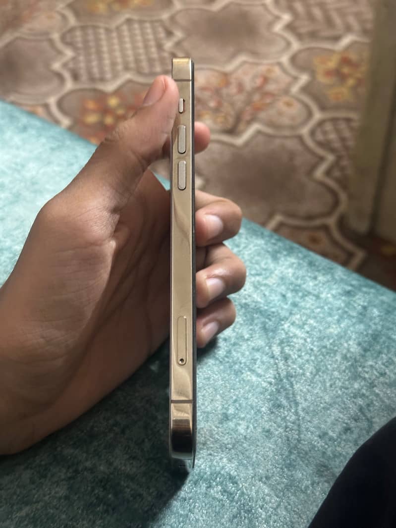 Apple iPhone 12 Pro 4