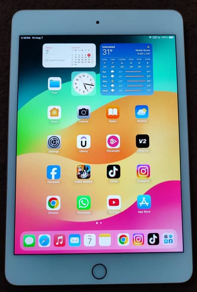 IPAD Mini 5