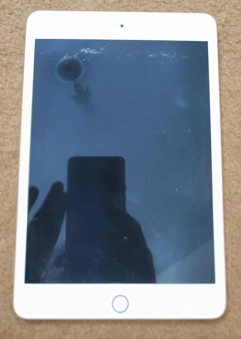 IPAD Mini 5 1