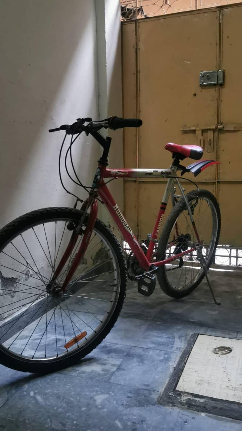 Imported Bicycle 1