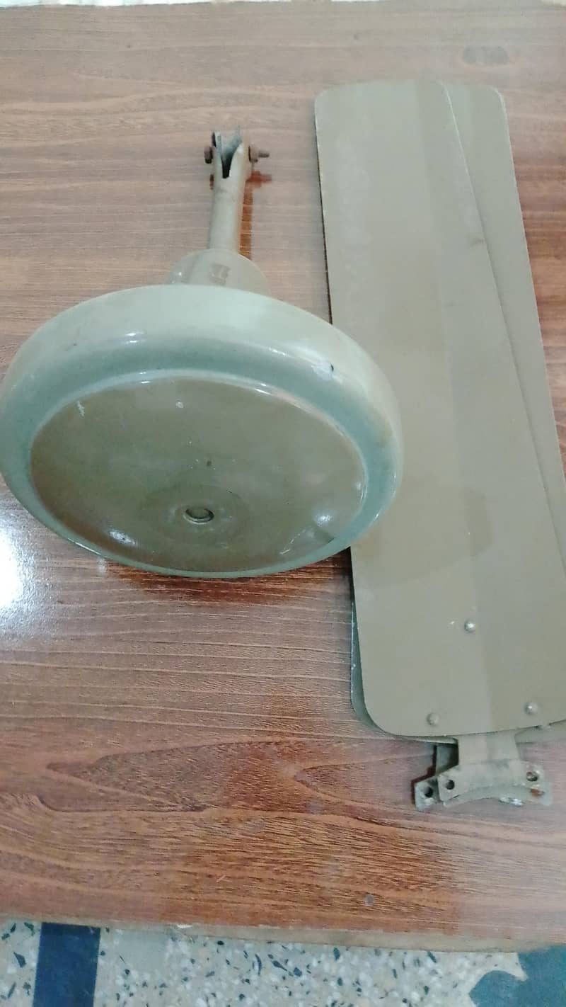 Ceiling Fans 4