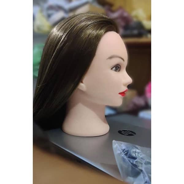 Hair Practice Head for Trainers with Stand